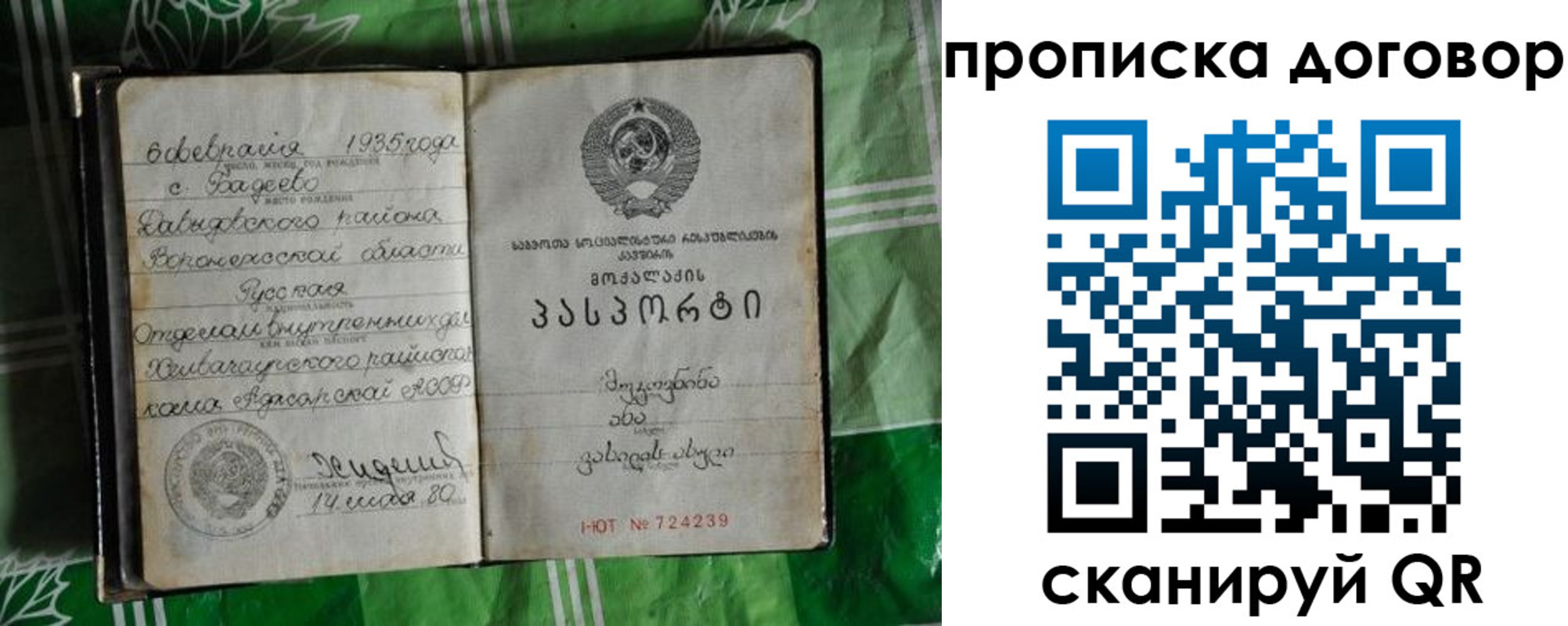 прописка в Чудово